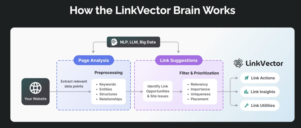 the linkvector brain